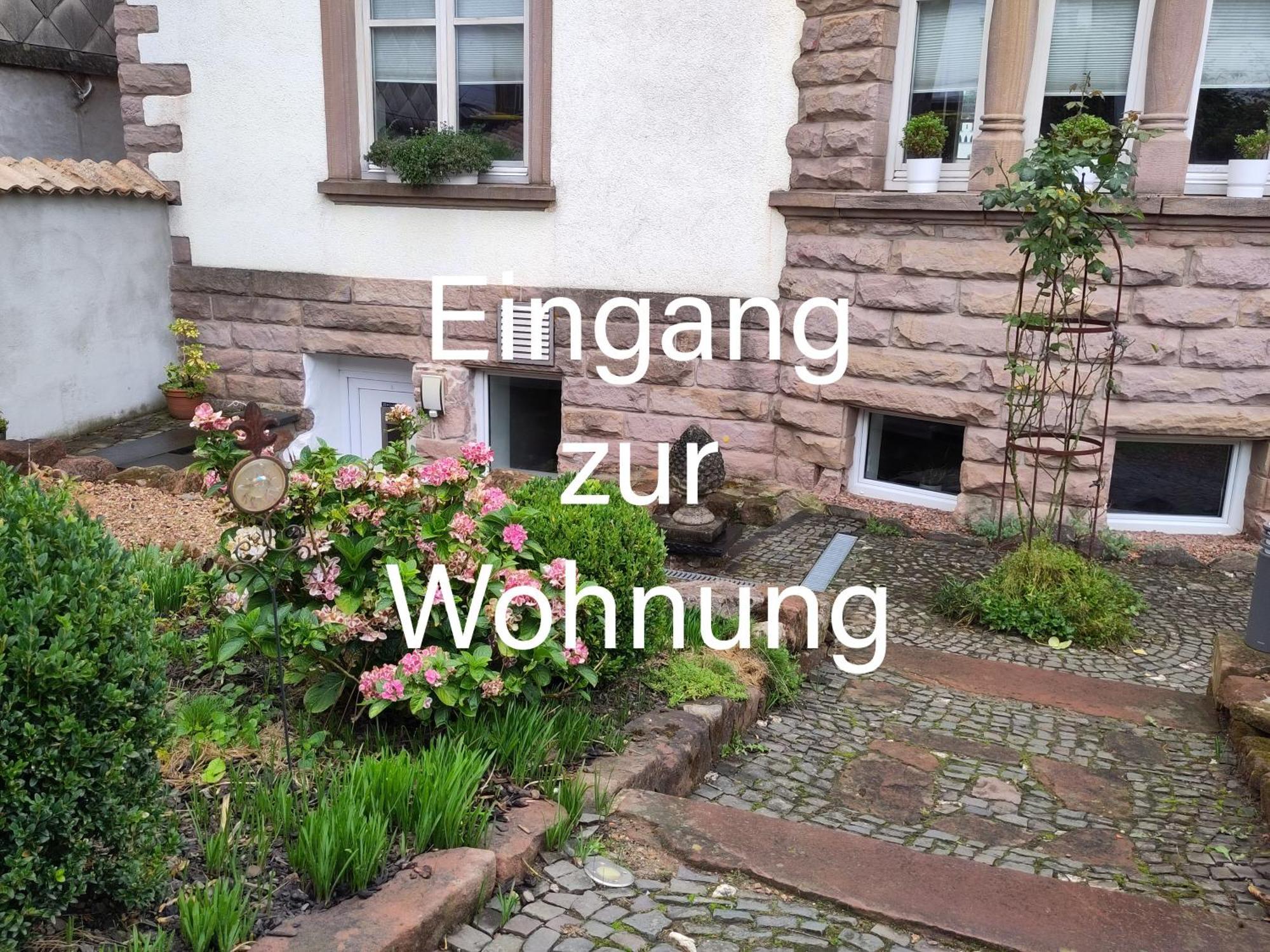 Casa Viva - Separate, Ruhig Gelegene Wohnung Quierschied Ngoại thất bức ảnh
